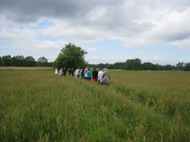wildkräuterwanderung