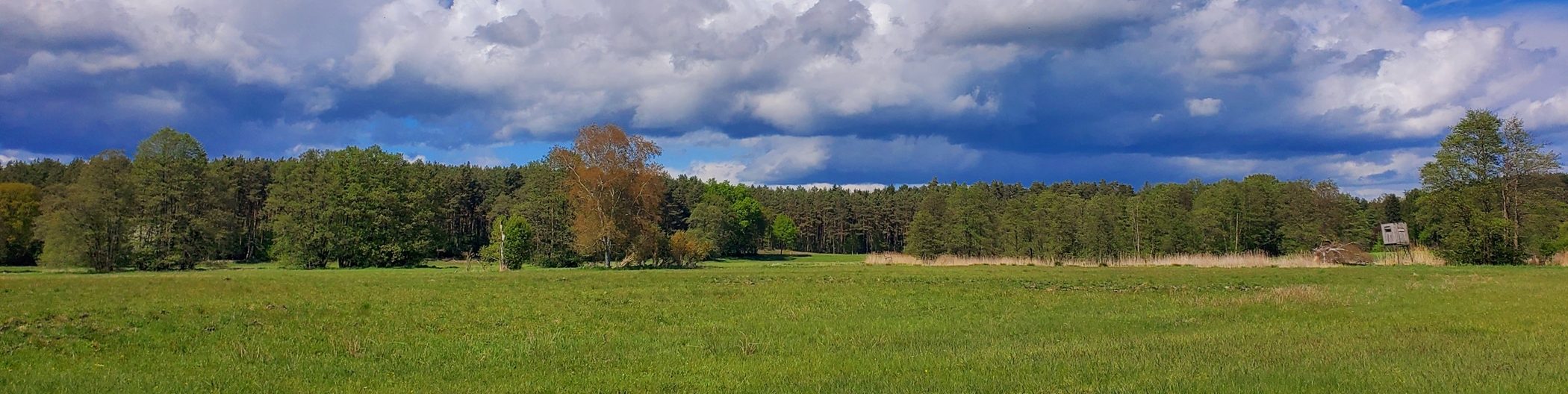 frühling, loslassen